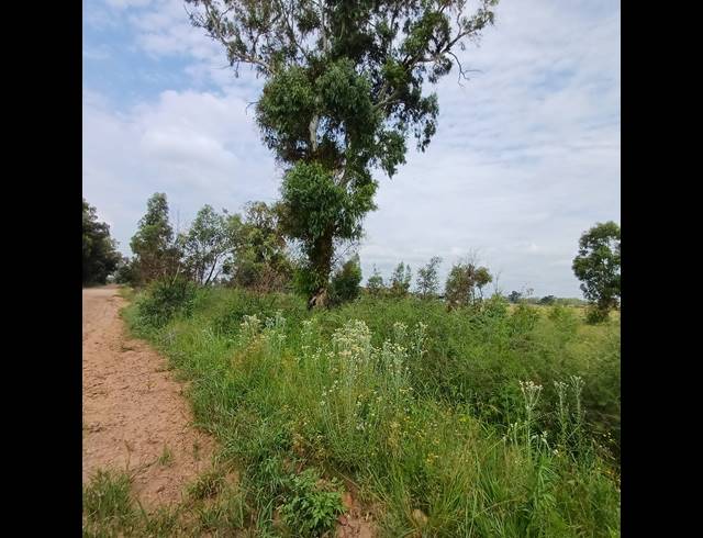 87,023M² VACANT LAND FOR SALE IN OPHIR AH